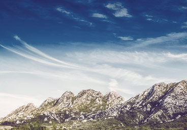 快速问题定位的轰炸手机短信网站