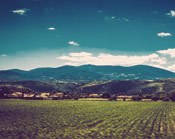 在线手机号轰炸网页版